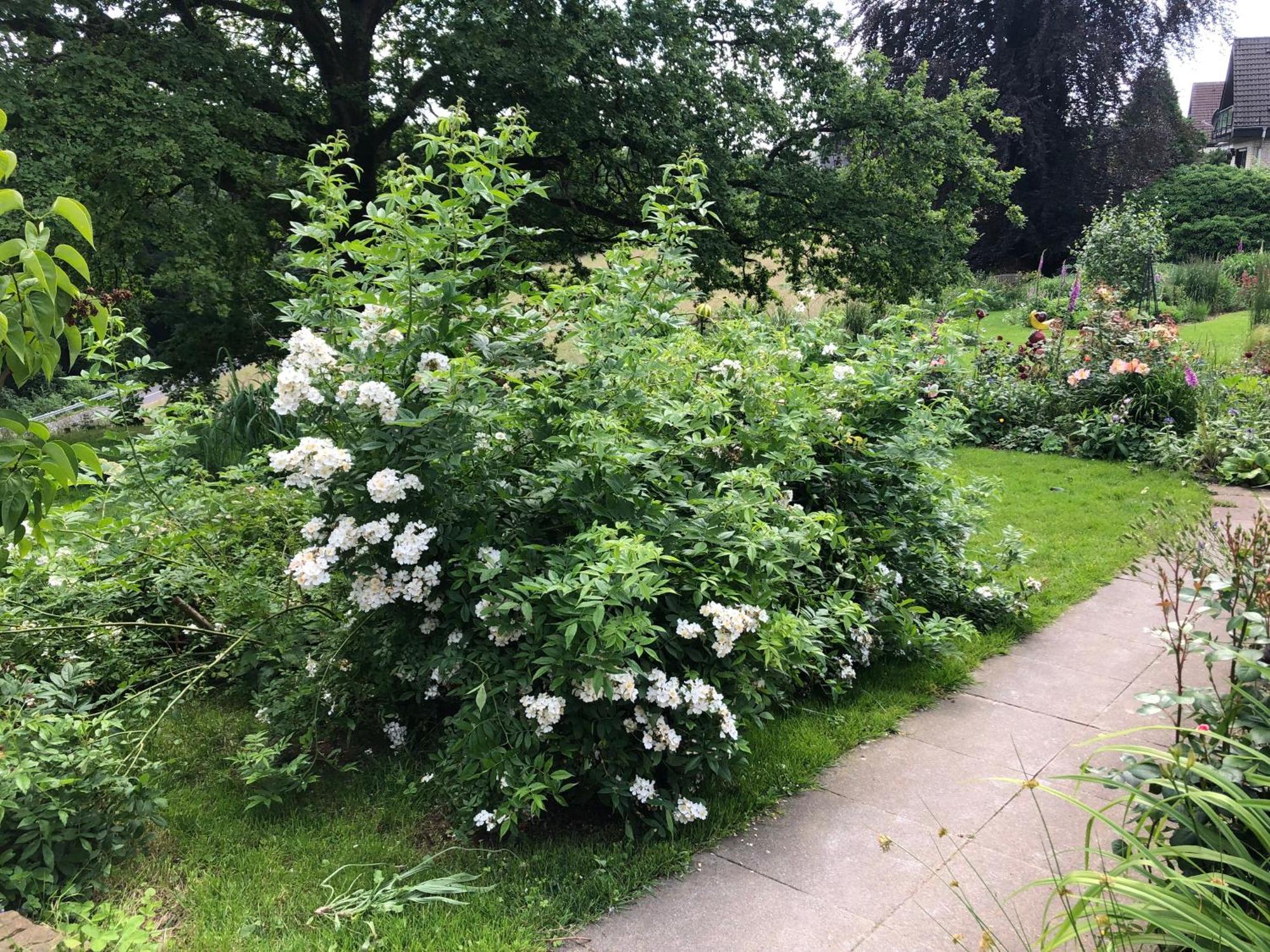 Gartenblick Leichlingen Exterior photo