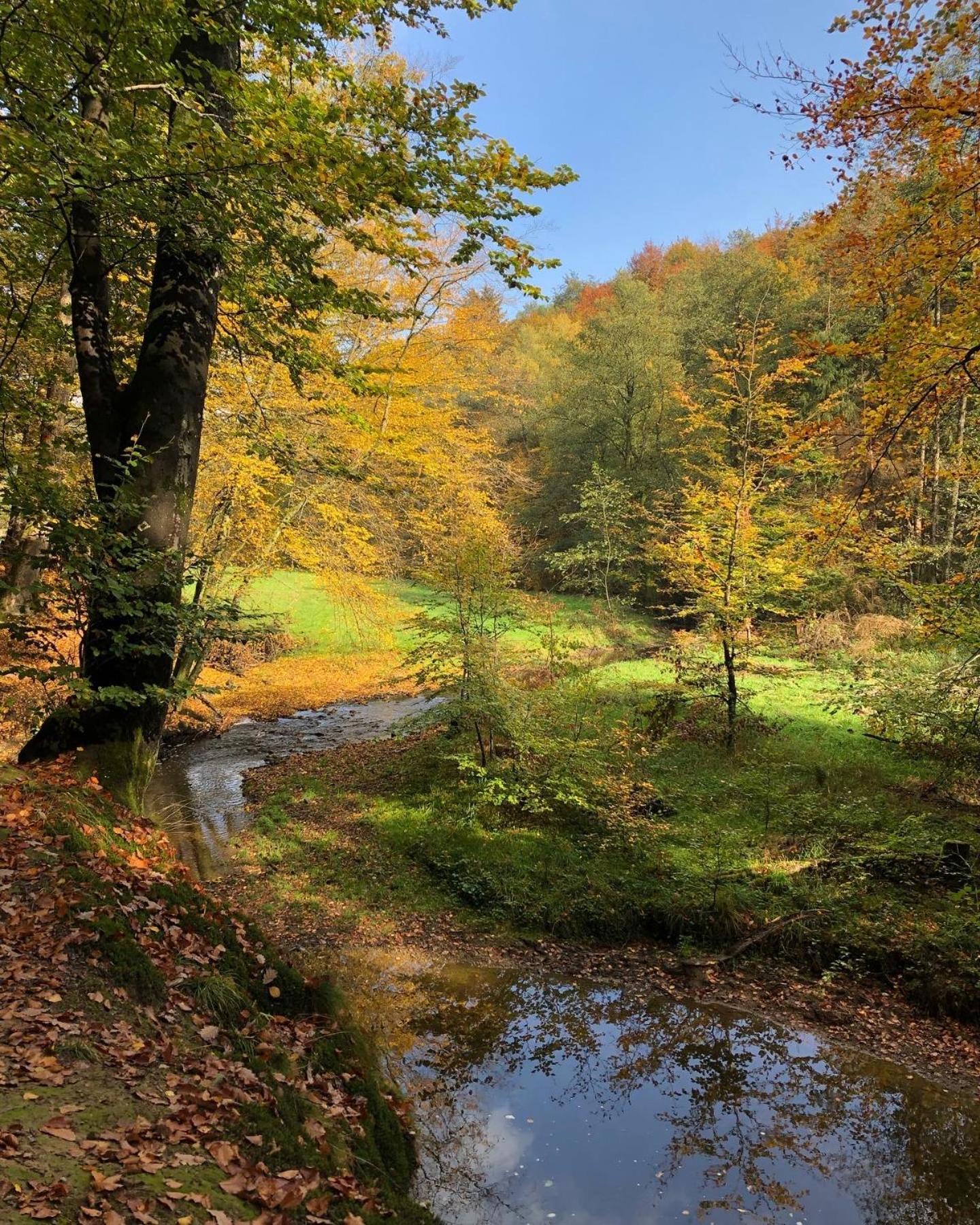 Gartenblick Leichlingen Exterior photo